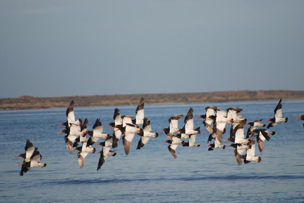 Bahia Bustamante Lodge Zewnętrze zdjęcie