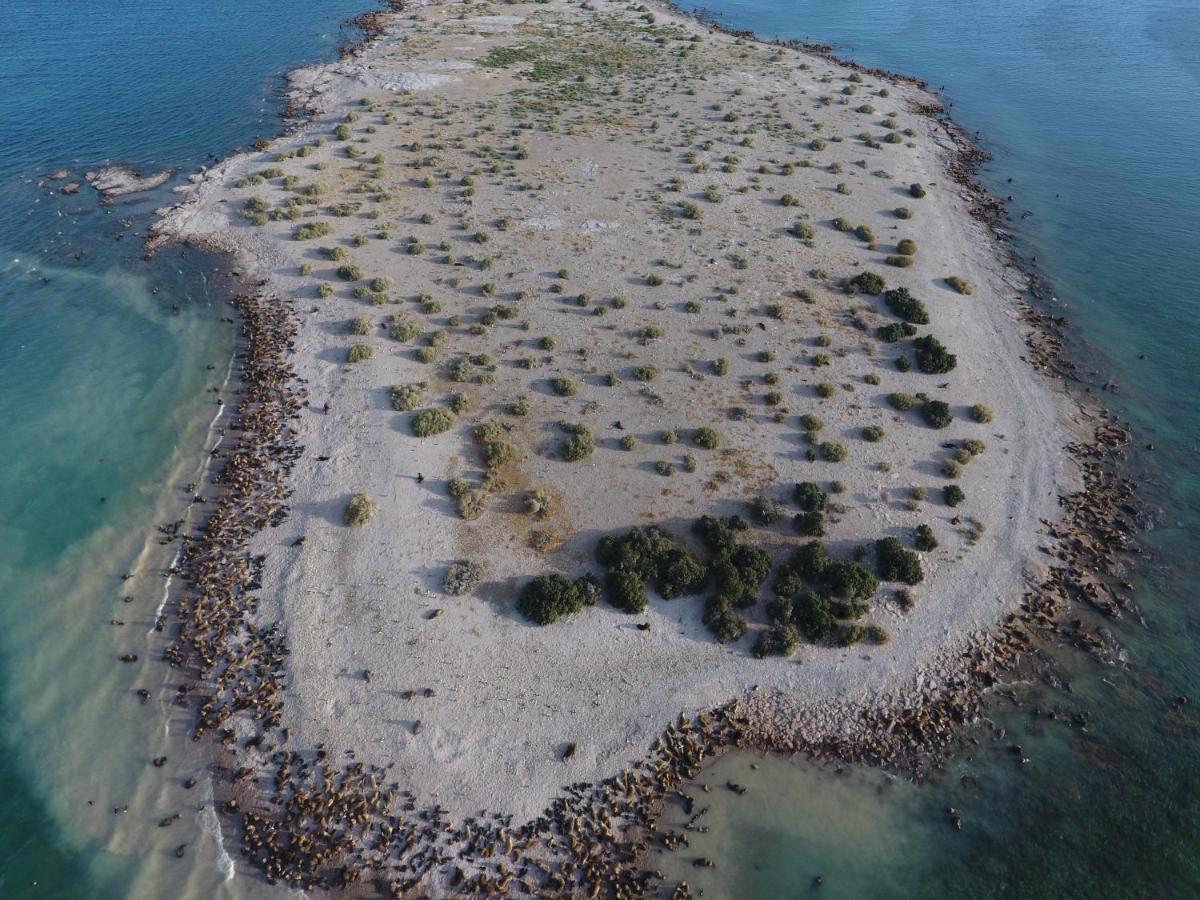 Bahia Bustamante Lodge Zewnętrze zdjęcie